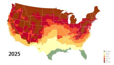 The SmokyMountains.com 2025 fall foliage leaf prediction map.